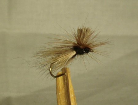 Parachute Elkwing Caddies #12