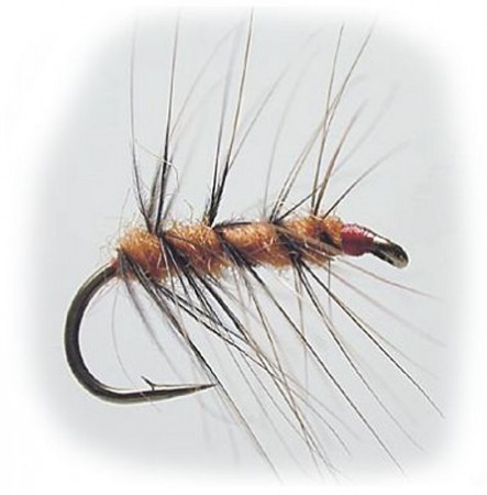 Superpuppa Brun & Oransje