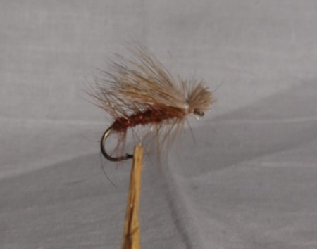 Rick Tan Caddies #12