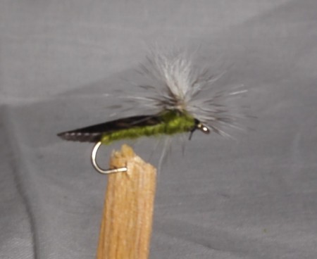 Parachute Caddies Oliven #12