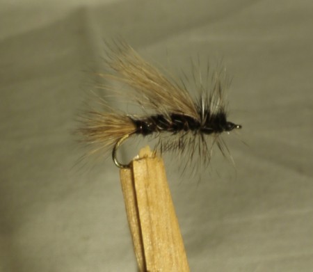 Kaufamanns Stimulator #12